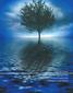 Kompetenzentwicklung Live