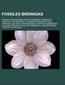 Fossiles Brenngas
