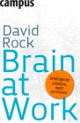 [David Rock, Daniel J. Siegel: Brain at Work]