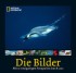 National Geographic: Die Bilder 2012