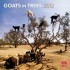 Goats in Trees 2012 Wall Calendar