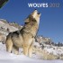 Wolves 2012 Wall Calendar