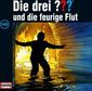 Die drei ??? 148 und die feurige Flut (Fragezeichen)