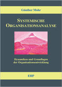 Systemische Organisationsanalyse