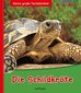 Die Schildkröte