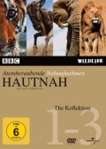 Hautnah Collection
