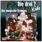 Die drei ??? Kids 16: Der magische Brunnen