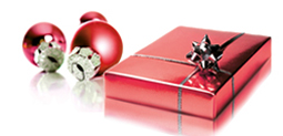Wir verpacken und versendne Ihre Weihnachtsgeschenke!